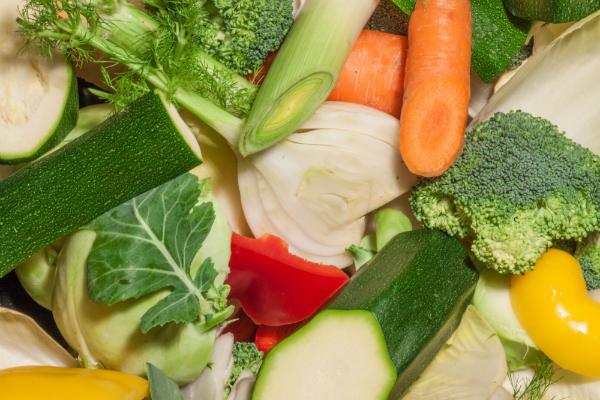 Was dürfen Hunde nicht fressen? HundeKausnacks Magazin