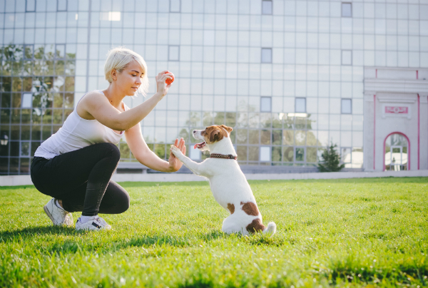 Optimale Trainigsergebnisse erzielt man, wenn man Training, Spielen und Belohnung miteinander verbindet