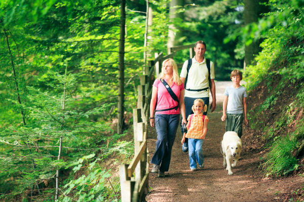 Wandern in der Natur ist ideal im Urlaub mit dem Hund geeignet