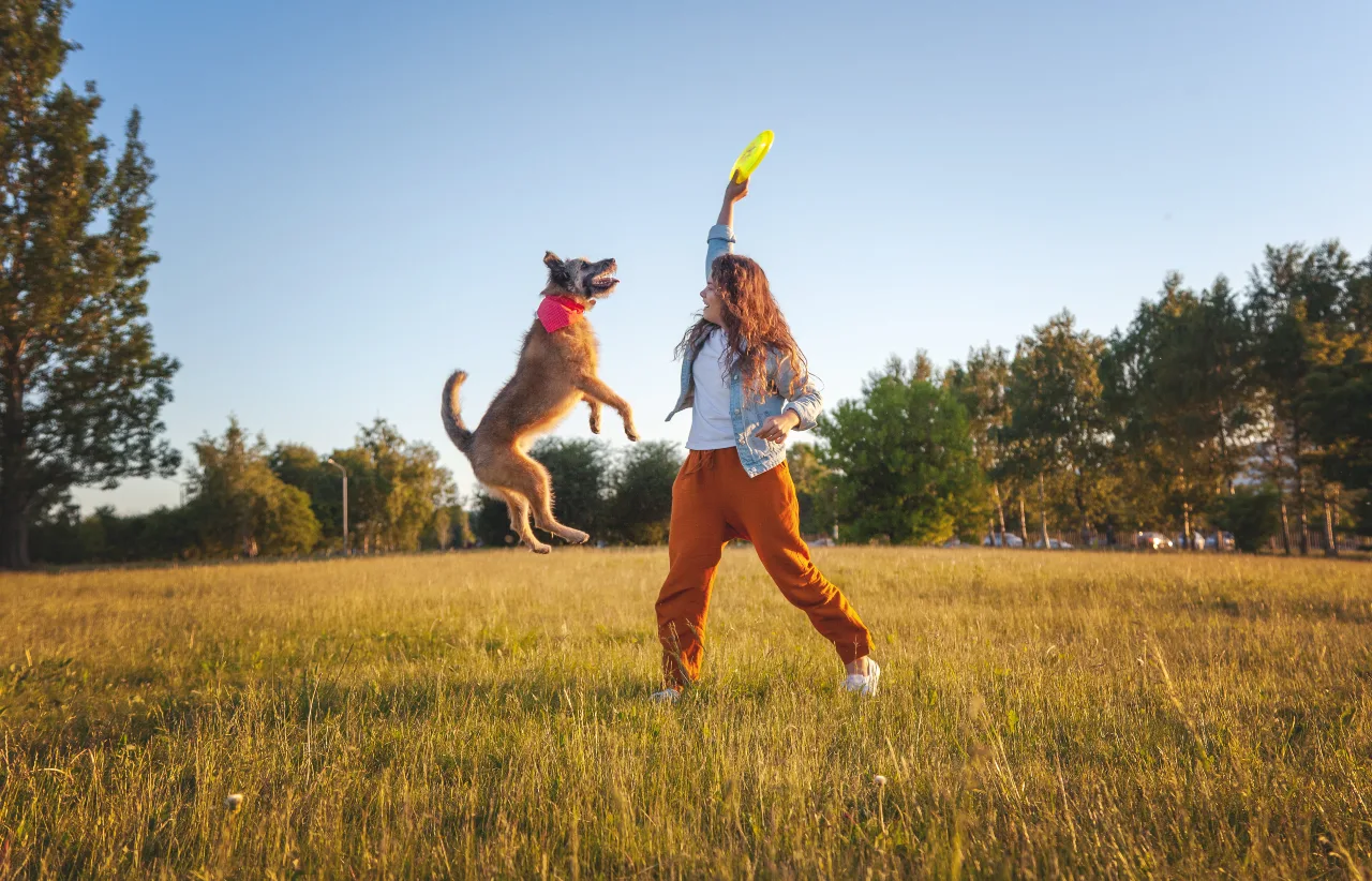Hund draußen beschäftigen und auspowern