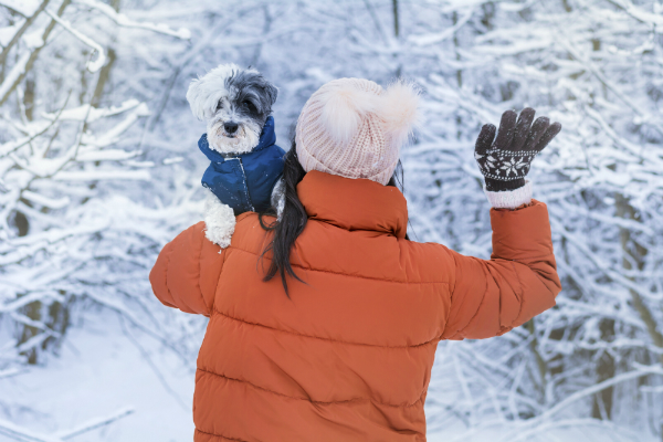 So schuetzen Sie Ihren Hund im Winter vor Kaelte