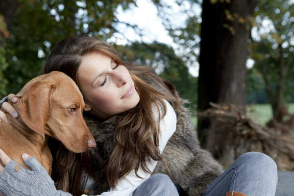 Das Immunsystem des Hundes kann bei der Abwehr von Krankheitserregern vom Herrchen oder Frauchen unterstützt werden