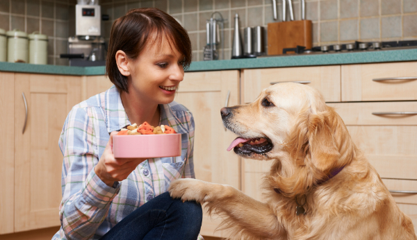 Glutenfreies Futter ist besser für ihr Tier