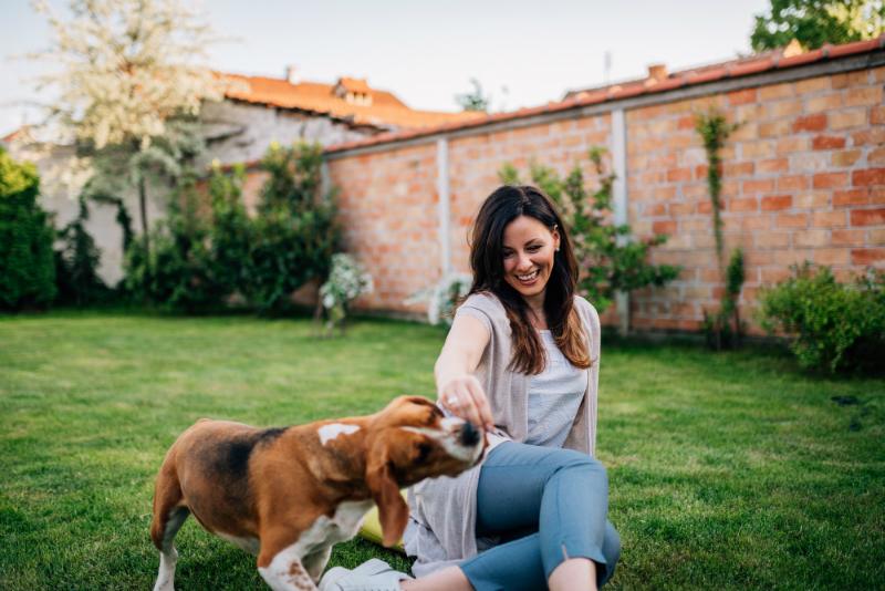 Hypoallergene Hundesnacks