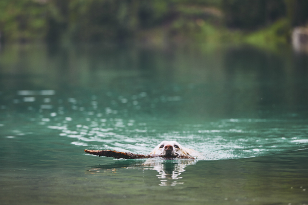 Uebungen im Wasser