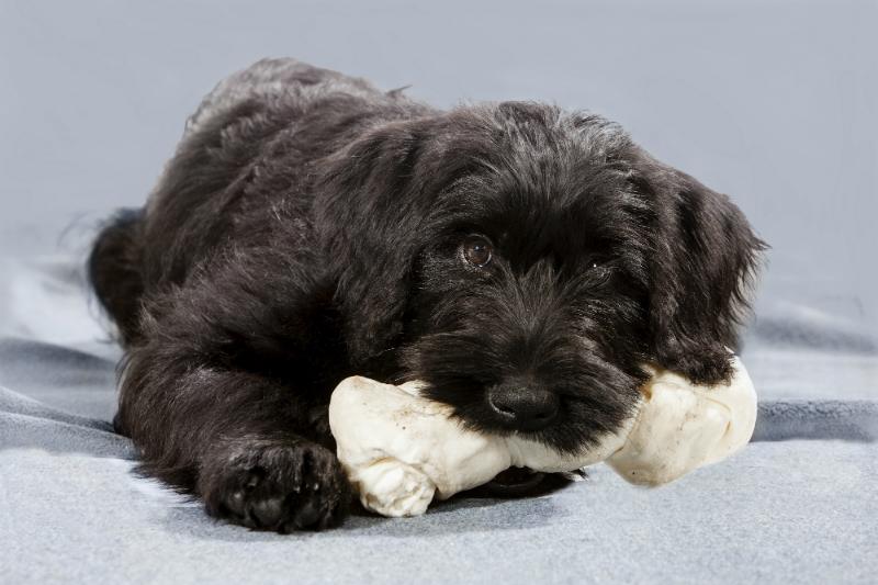 Farm Food Rawhide(R) Kauknochen