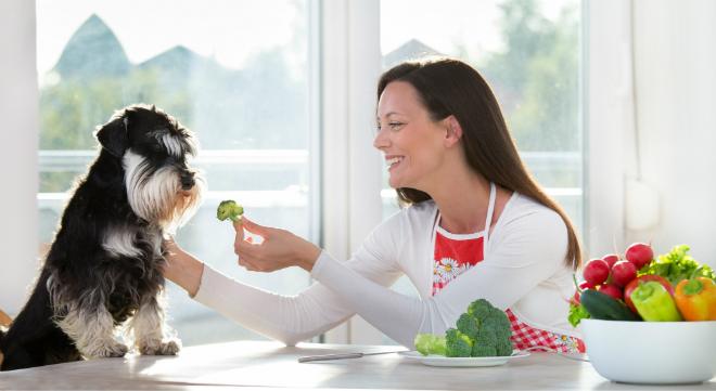 Hund vegetarisch ernähren