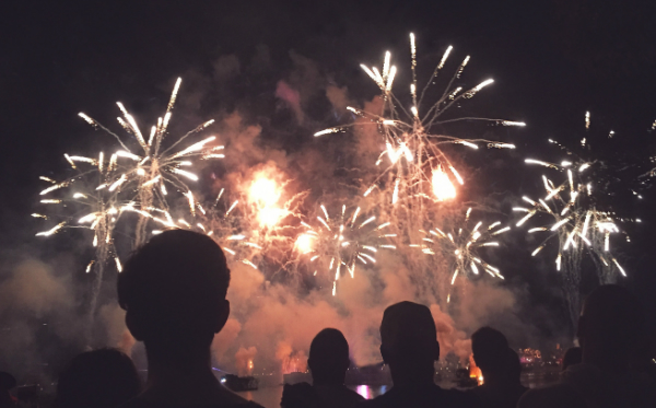 Feuerwerk an Silvester bedeutet für Haustiere Stress pur