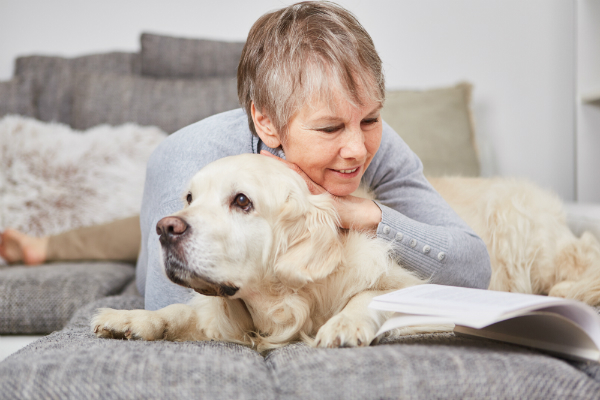 Kollagen sorgt fuer ein glaenzendes Fell beim Hund