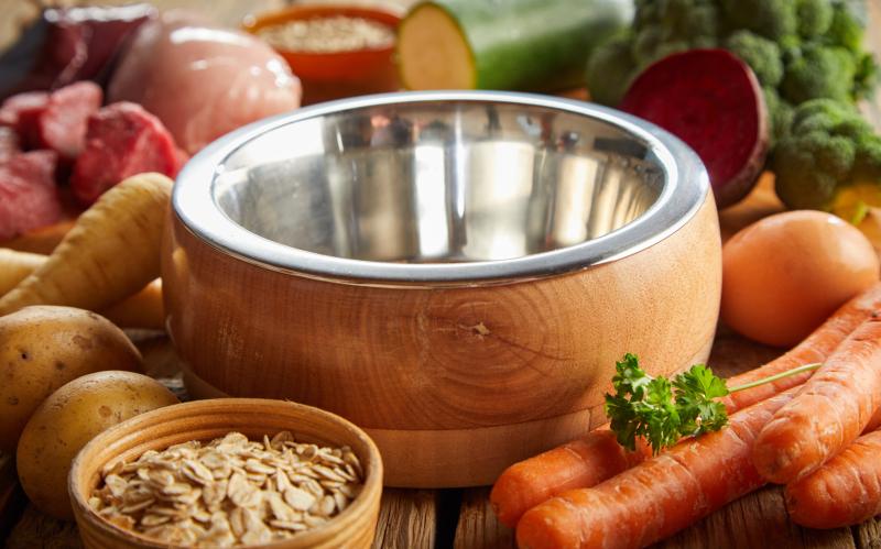 Ballaststoffe für Hunde HundeKausnacks Magazin