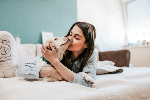 Rudeltiere suchen Waerme, Liebe und Geborgenheit