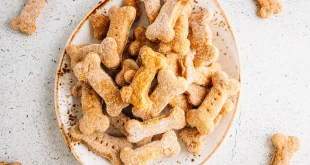 Getreidefreie Hundekekse liegen gebacken und gestapelt auf einem Teller, man schaut direkt von oben darauf