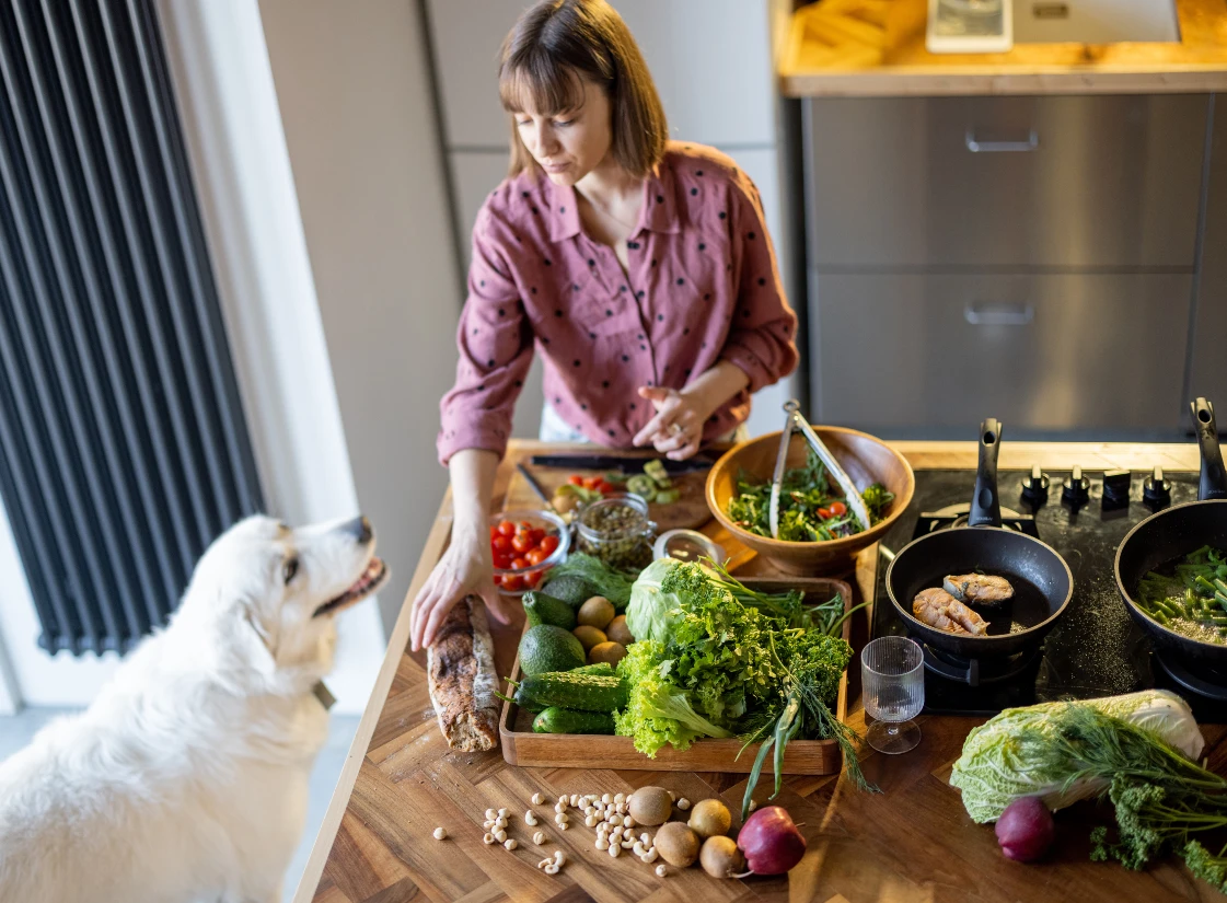 Alte Hunde nicht mit salzigen oder stark würzigen Lebensmitteln füttern.