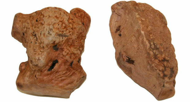 Niereninsuffizienz bei Hunden HundeKausnacks Magazin