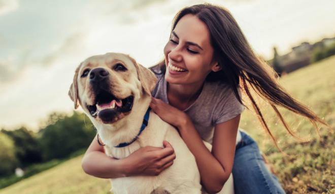 Hund glücklich machen