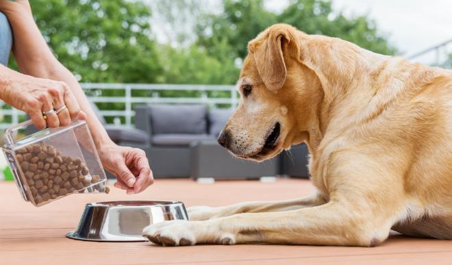 Ziegenfleisch für Hunde