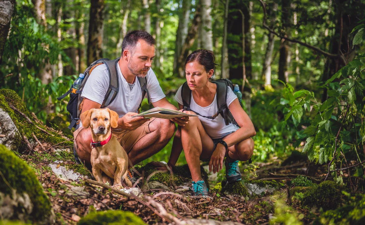 Planen Sie Wanderwege mit Hund. Wanderwege mit Hund planen