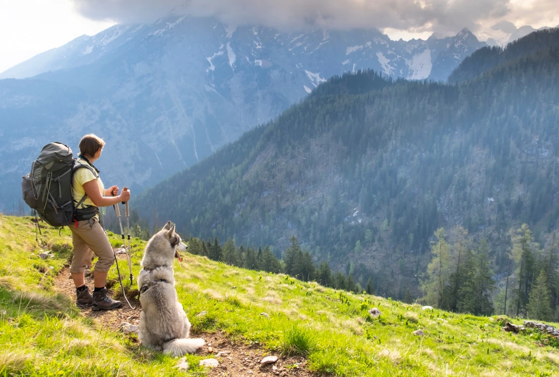 Wandern mit Hund in den Alpen. Wandern mit Hund in den Alpen