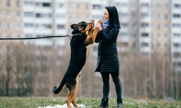 Tanzen mit dem Hund? Warum nicht!