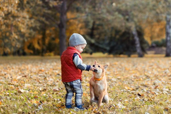Hundecracker als kleine Belohnungshappen