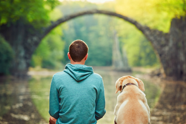 Nur weil Hunde fröhlich sind & spielen wollen, sind sie noch lange nicht das Alphatier!