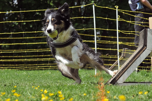 Training des Wendepunktes