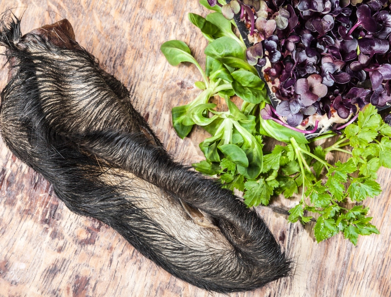Rinderohren mit Fell HundeKausnacks Magazin