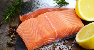 Lachs für Hunde – roh oder gegart?