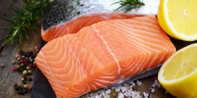 Lachs für Hunde – roh oder gegart?
