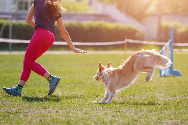 Welches Trainingsziel wollen Sie erreichen?