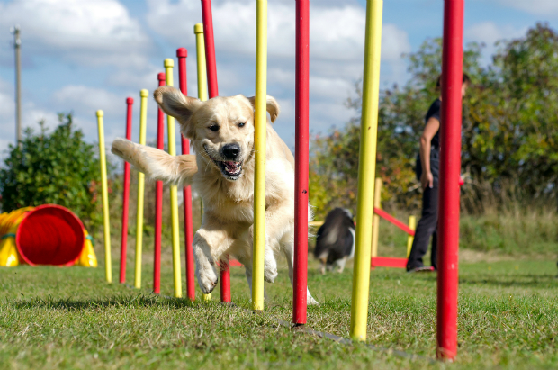 Training mit oder ohne Plan?