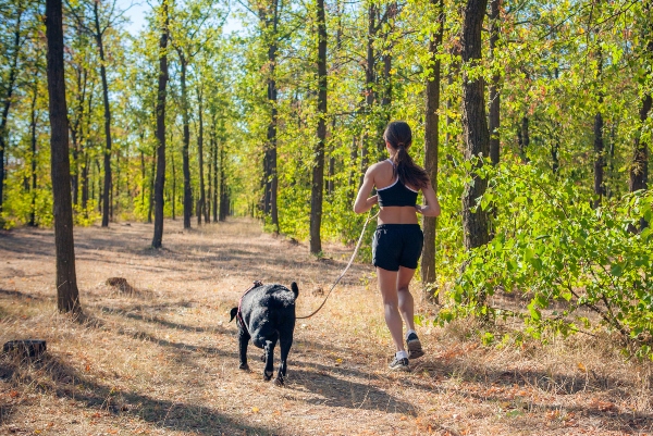 Workout mit dem Hund auf weichem Untergrund