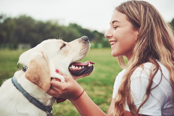 Fuer welche Hunde eignet sich Doerrfleisch