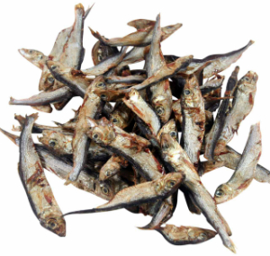 Sprotte, klein (ganze Fische) sprotte-klein-ganze-fische