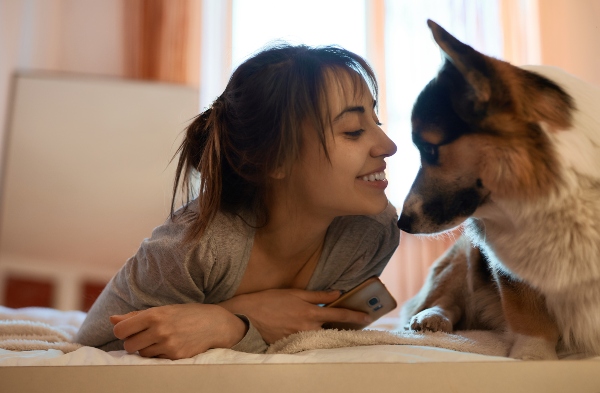 Gluecklicher Hund Zuneigung und Naehebeduerfnis