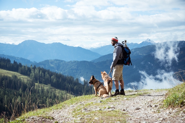 Wanderer mit seinen zwei Hunden im Salzburger Land urlaub-in-den-bergen-mit-hund