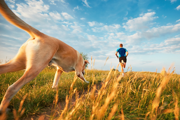 Ein Mann rennt über ein Feld, dicht dahinter folgt ihm sein Hund Welcher Hundesport ist der richtige für meinen Vierbeiner?