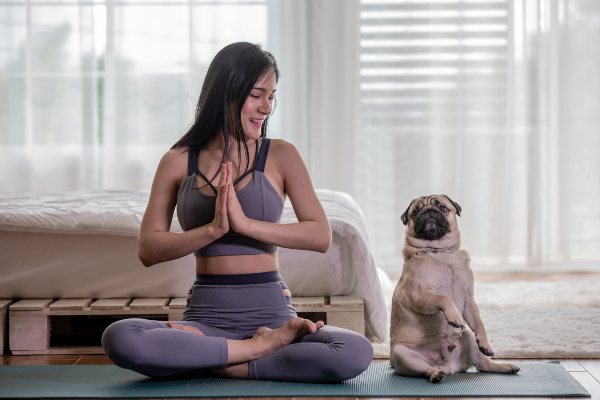 Eine Frau beim Yoga, neben ihr versucht ein kleiner Hund, die Übungen mitzumachen, gibt dabei aber keine besonders gute Figur ab. Welcher Hundesport ist der richtige für meinen Vierbeiner? 