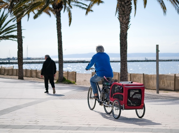 Fahrradfahren mit Hund