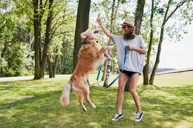 Frau belohnt Hund beim Training