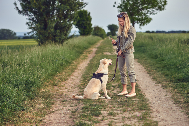 Das Grundkommando "Sitz" muss jeder Hund beherrschen - der Zeigefinger hilft als optisches Signal Das Frauchen streckt den Zeigefinger raus - der Hund reagiert korrekt auf das Hundekommando "Sitz"