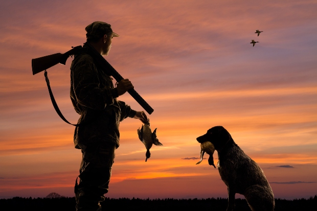 Hund mit Herrechen und gefangenen Enten