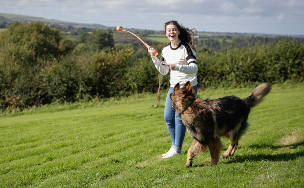 Frau wirft Ball für einen Hund - ideales Beschäftigungsspiel für Hunde