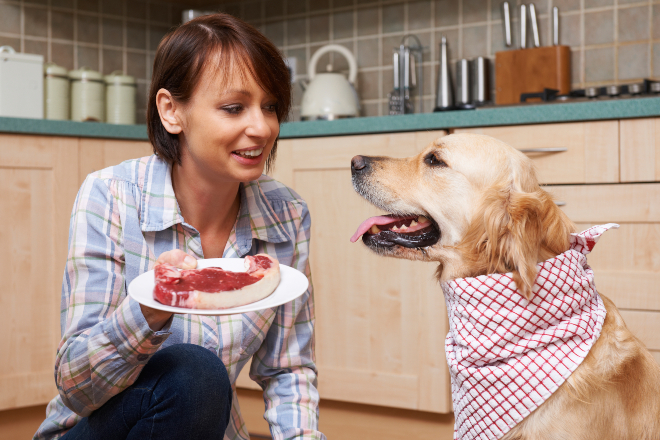 Frauchen füttert Hund mit Fleisch - essenziell für eine ausgewogene Hundeernährung