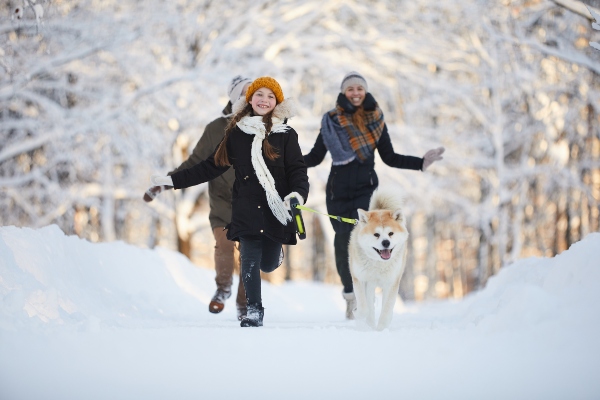 winterwanderung-mit-hund-regionen