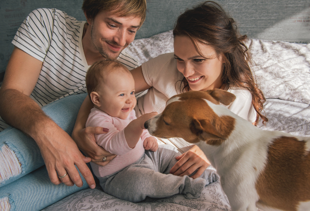 Junge Familie mit Baby und Hund