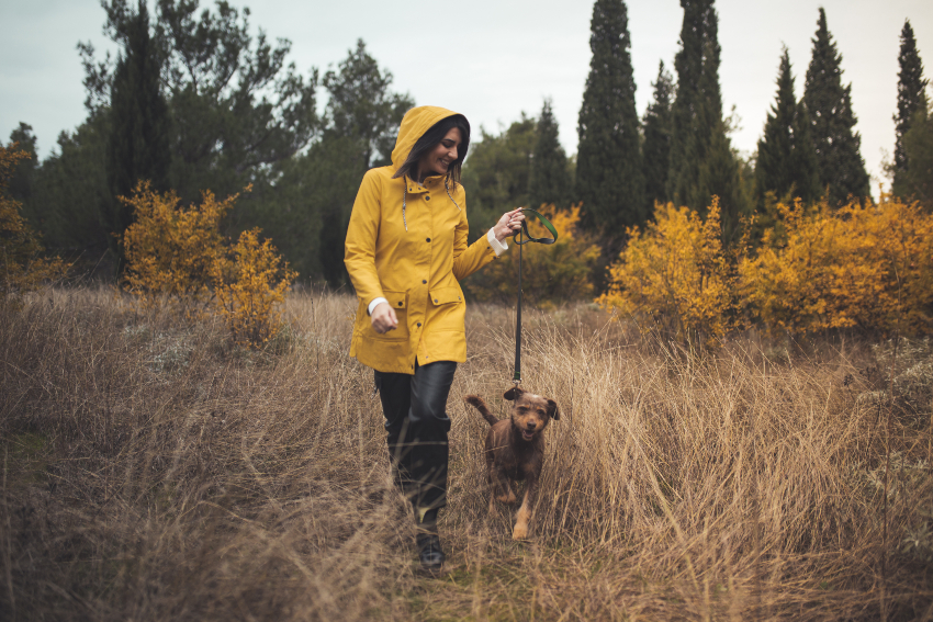 Frau geht Gassi mit Hund