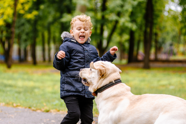 Kind ist von Hund erschreckt