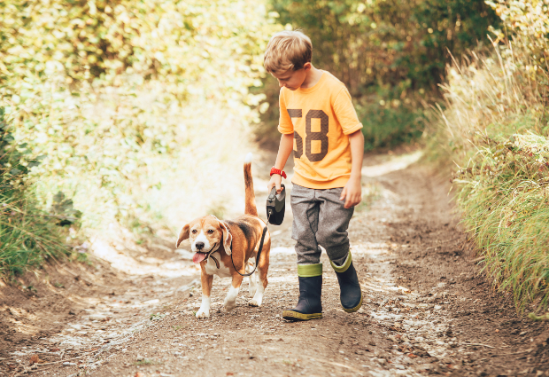 Junge führt Hund Gassi