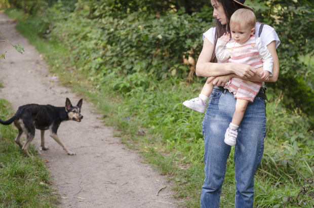 Mutter mit Kind auf dem Arm, in der Nähe ein aggressiver Hund